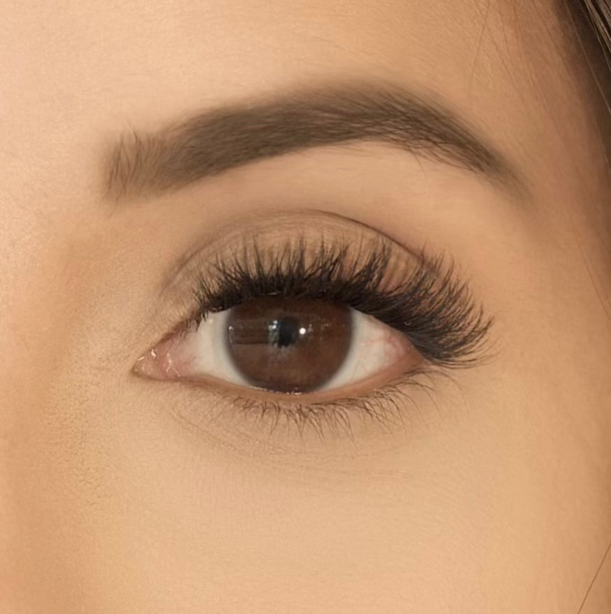 Velvet Volume | Pre-Glued D-Curl Press-On Lashes